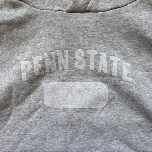 Penn state cropped hoodie - Picture 2 of 3